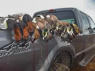 $2,000,000 | Unk Camp Creek Road, Temple, TX 76501