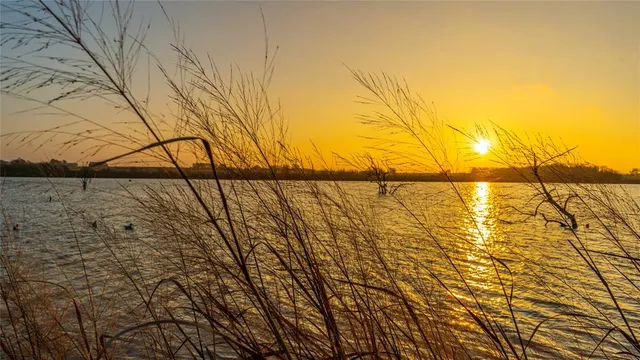 $2,000,000 | Unk Camp Creek Road, Temple, TX 76501