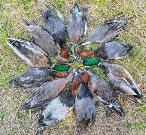 a view of a workspace