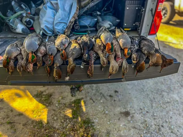 $2,000,000 | Unk Camp Creek Road, Temple, TX 76501