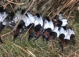 Unk Camp Creek Road Temple, TX 76501 - Photo 35 of 40