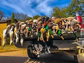 $2,000,000 | Unk Camp Creek Road, Temple, TX 76501