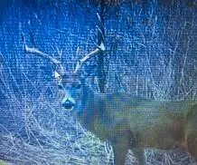 $2,000,000 | Unk Camp Creek Road, Temple, TX 76501