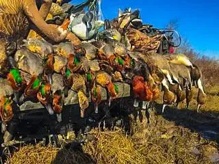 $2,000,000 | Unk Camp Creek Road, Temple, TX 76501