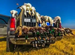 $2,000,000 | Unk Camp Creek Road, Temple, TX 76501