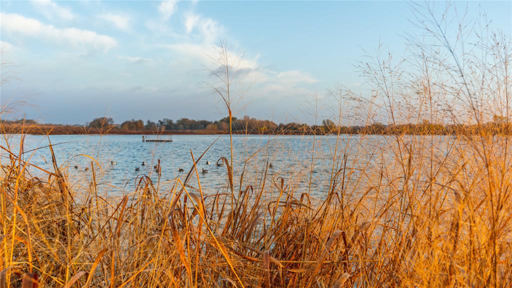 Unk Camp Creek Road Temple, TX 76501 - Photo 9 of 40