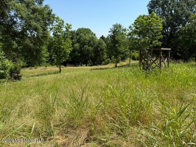 53 Cliffs Plantation Road Natchez, MS 39120 - Photo 9 of 23 53 Cliffs Plantation Pic 9
