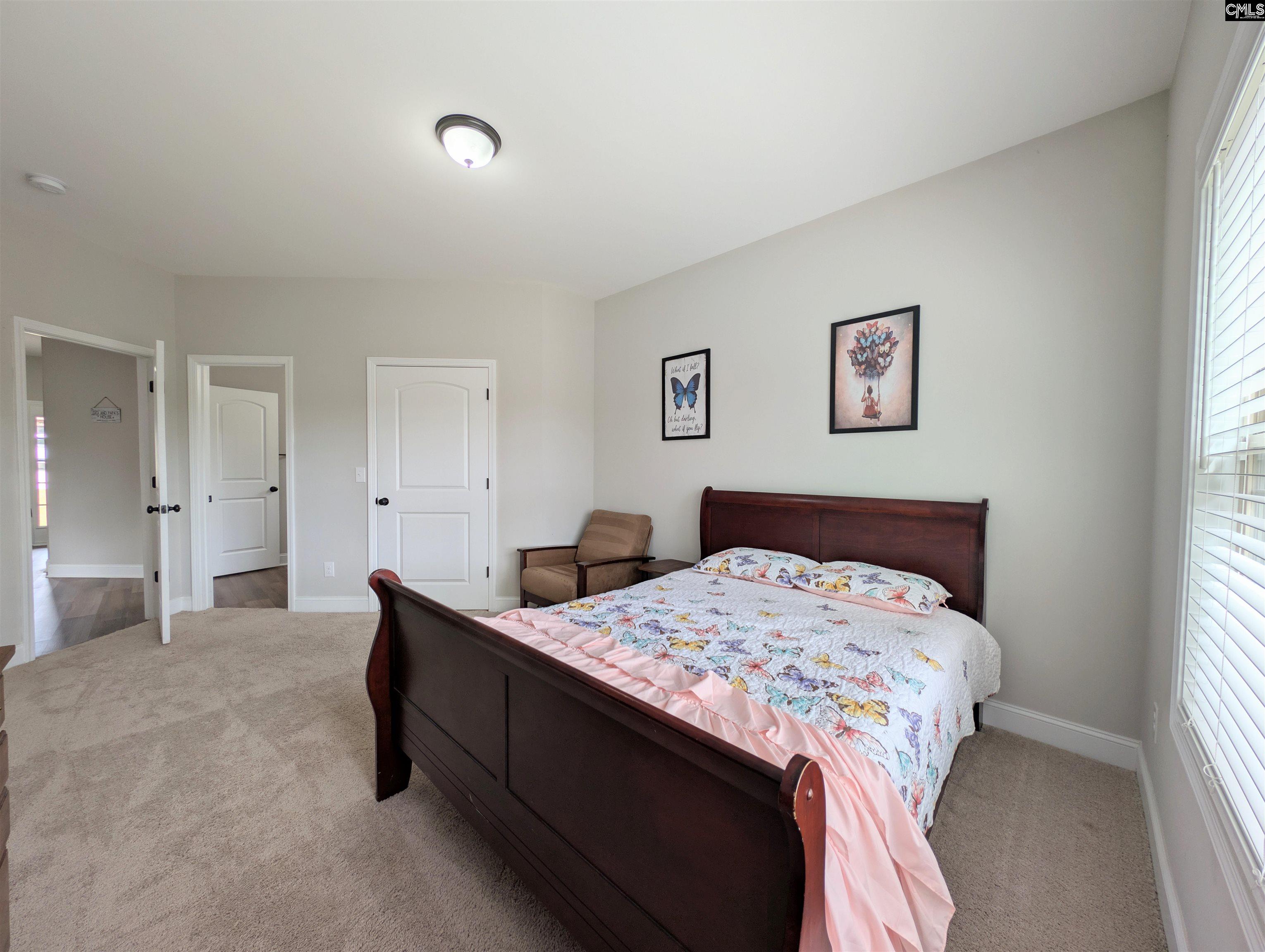 105 Tall Pines Road Chapin, SC 29036 - Photo 17 of 79