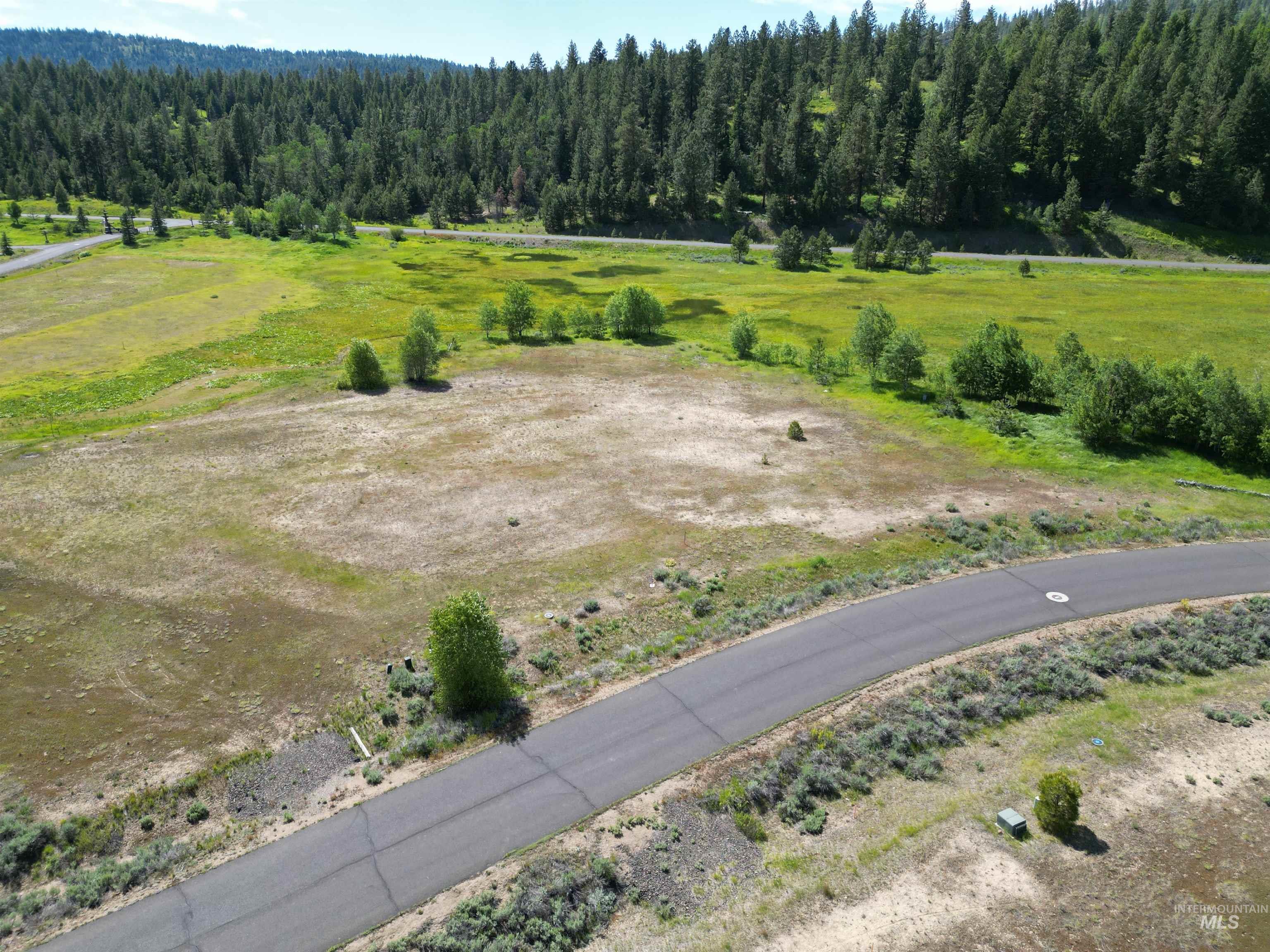 15 Meadowbright Drive McCall, ID 83638 - Photo 15 of 30 Aerial view of sparsely populated area with a forest