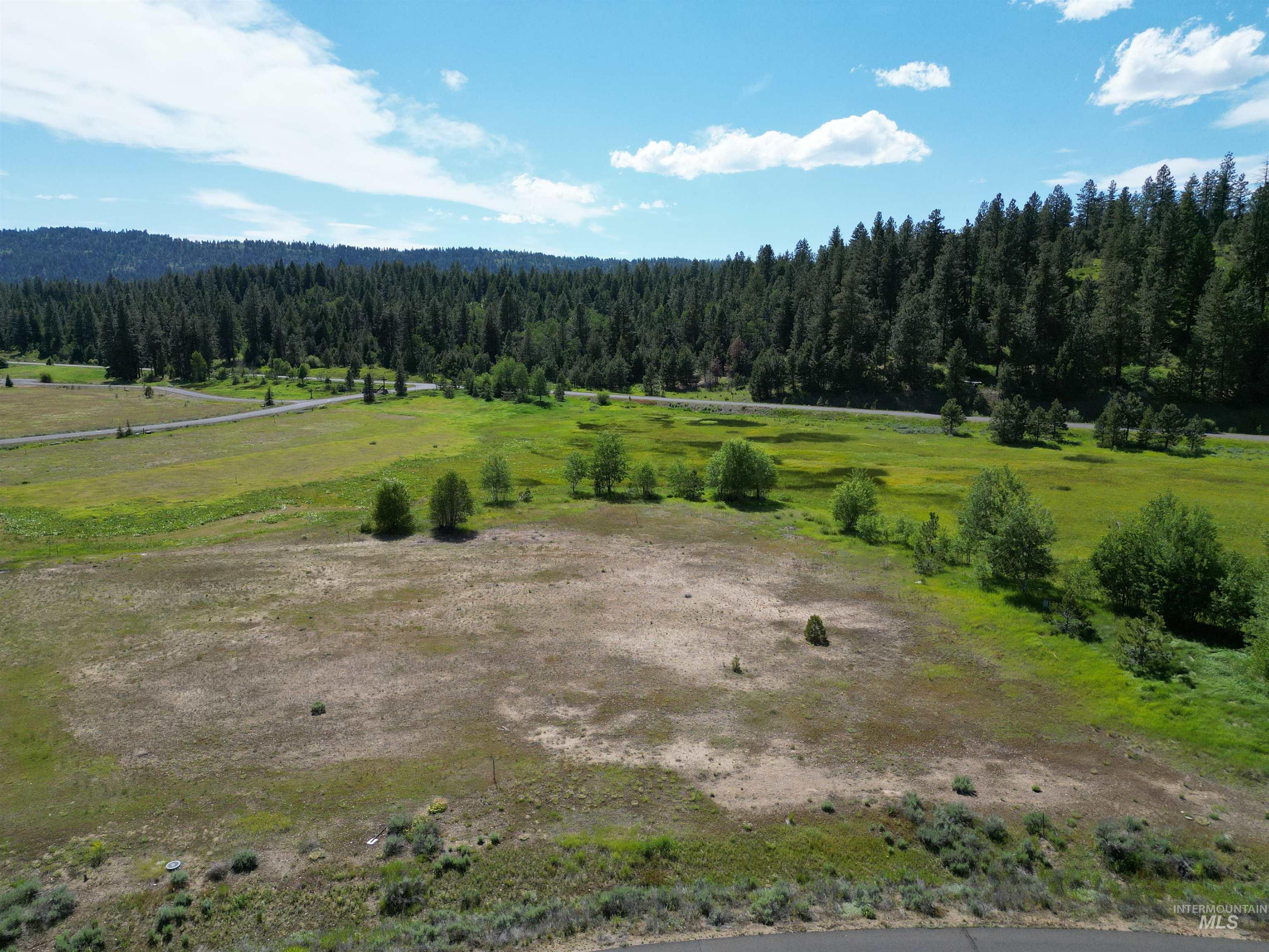 15 Meadowbright Drive McCall, ID 83638 - Photo 17 of 30 View of mountain backdrop featuring rural landscape and a heavily wooded area