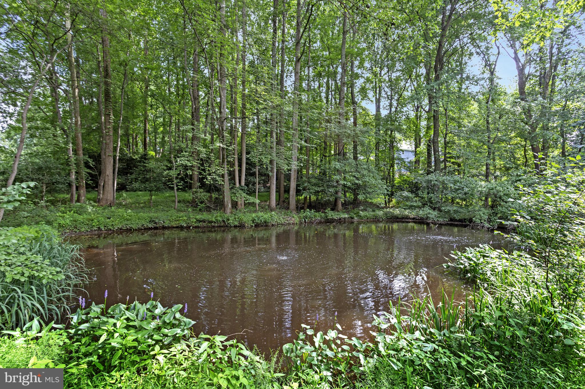 718 Springvale Road Great Falls, VA 22066 - Photo 3 of 57