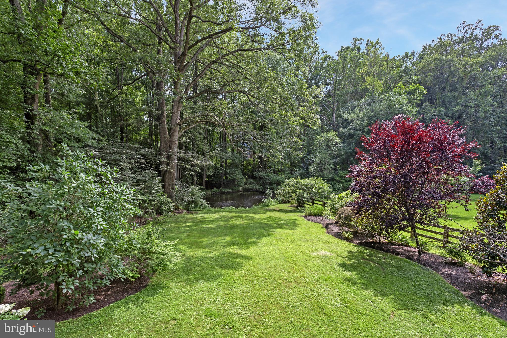 718 Springvale Road Great Falls, VA 22066 - Photo 45 of 57 a view of a lush green space