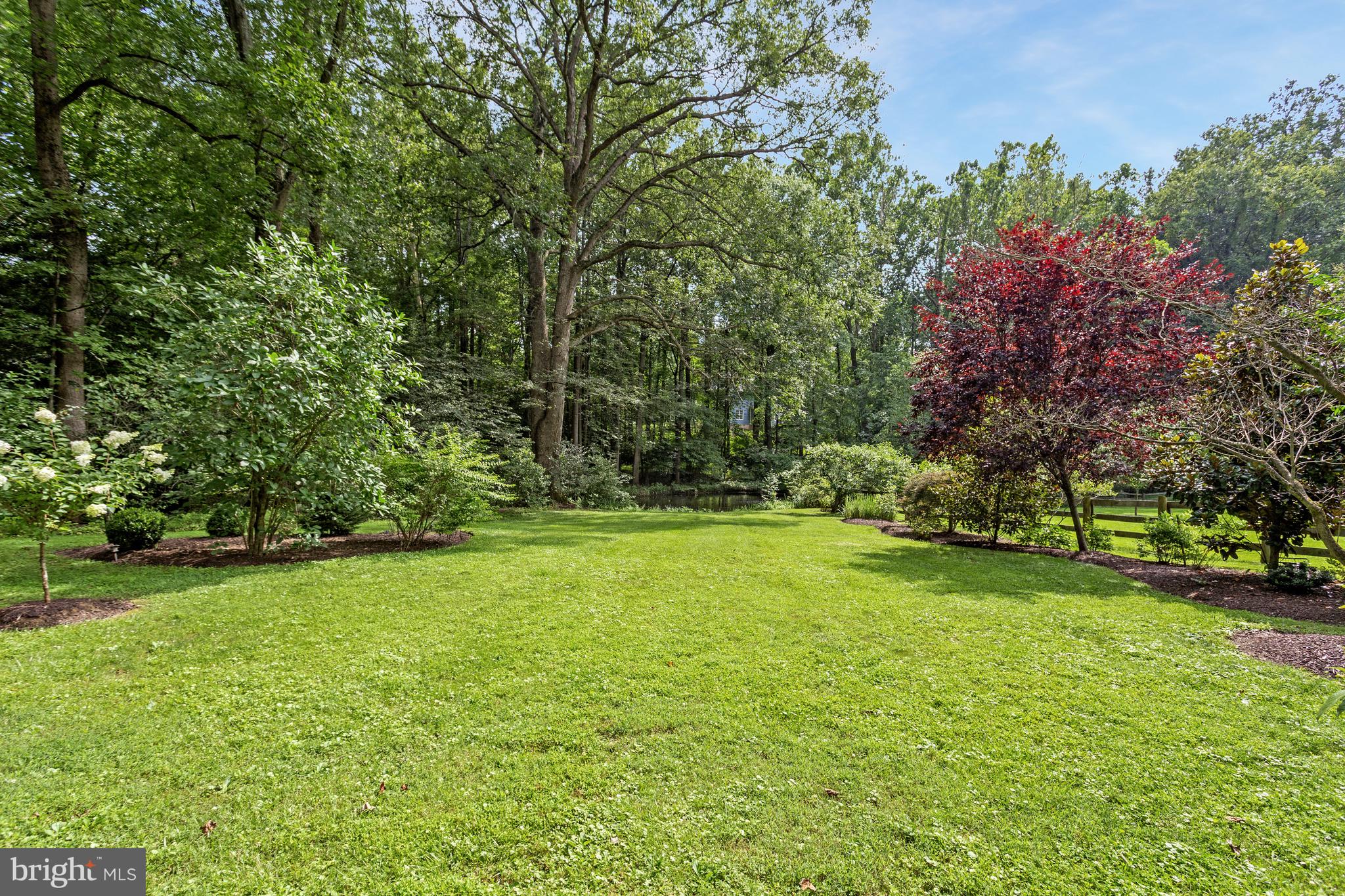718 Springvale Road Great Falls, VA 22066 - Photo 47 of 57 a view of a field of grass and trees