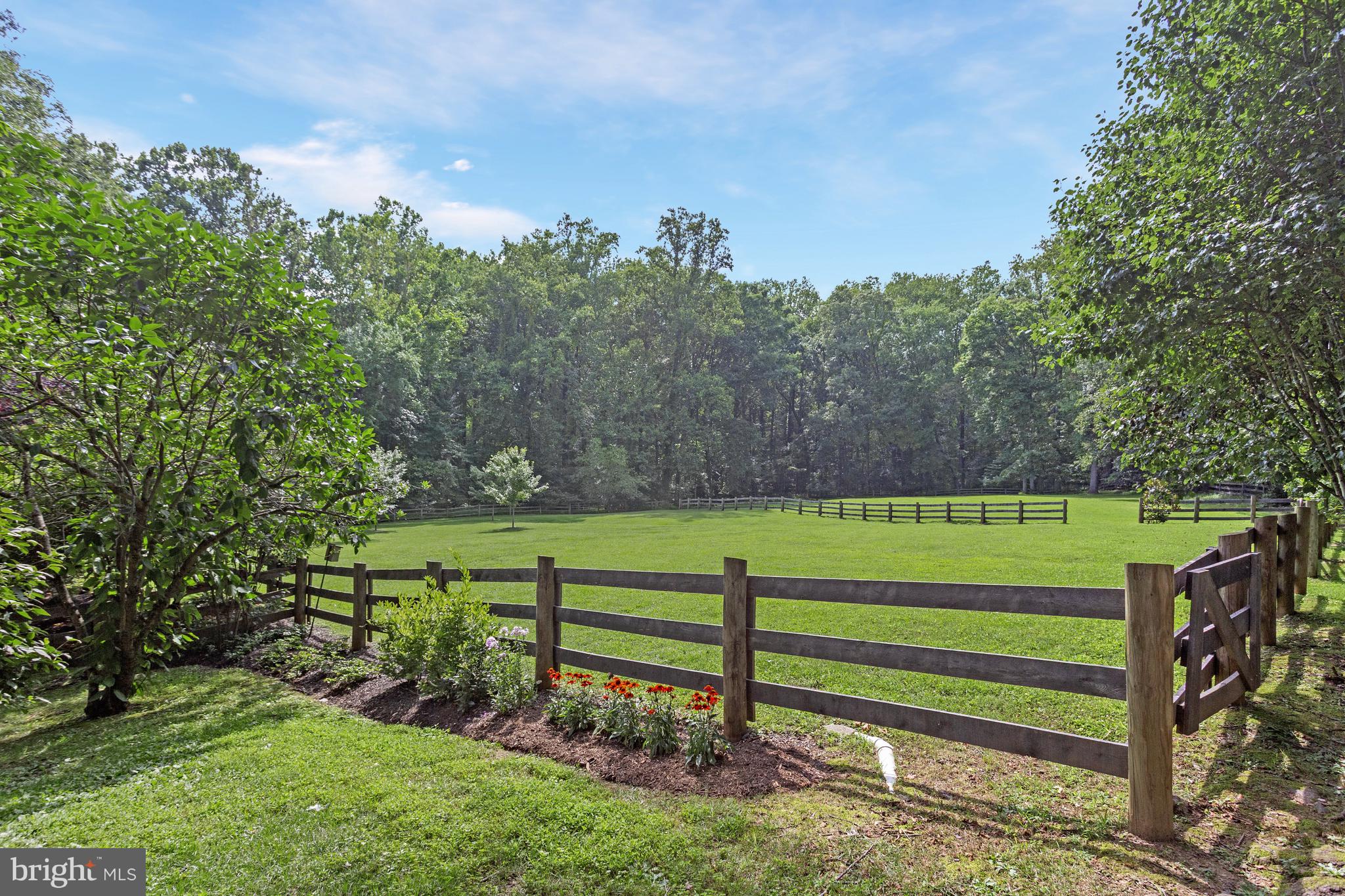 718 Springvale Road Great Falls, VA 22066 - Photo 49 of 57 a view of a park with large trees