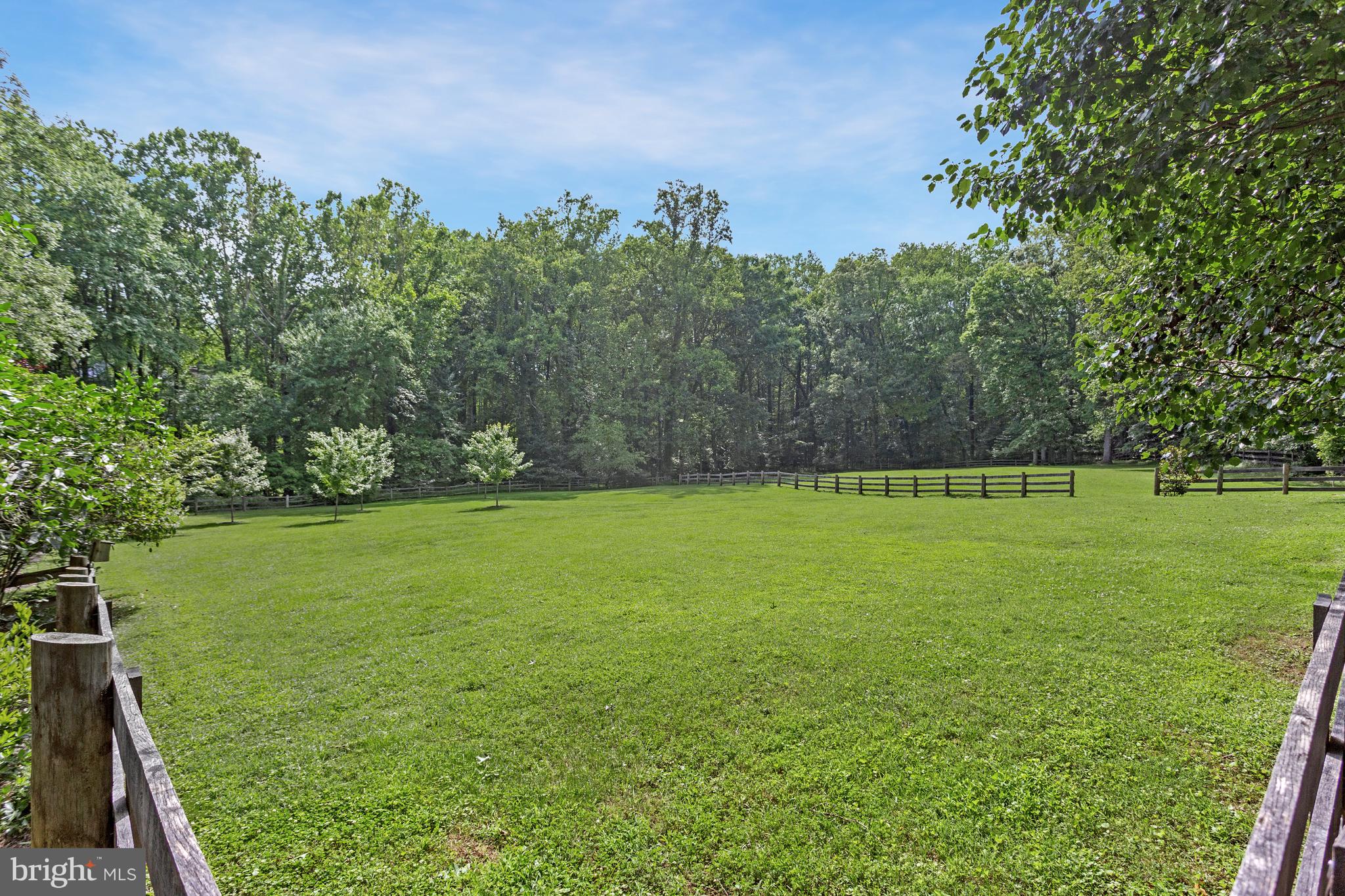 718 Springvale Road Great Falls, VA 22066 - Photo 50 of 57 a view of a field with trees