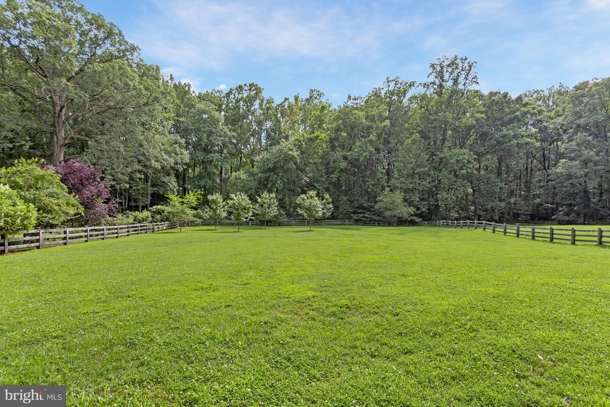 718 Springvale Road Great Falls, VA 22066 - Photo 54 of 57