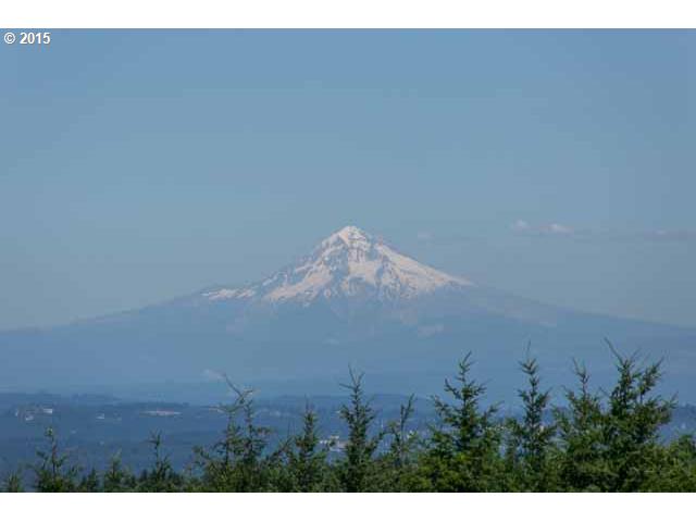 19100 Northeast Jaquith Road Newberg, OR 97132 - Photo 2 of 16 View