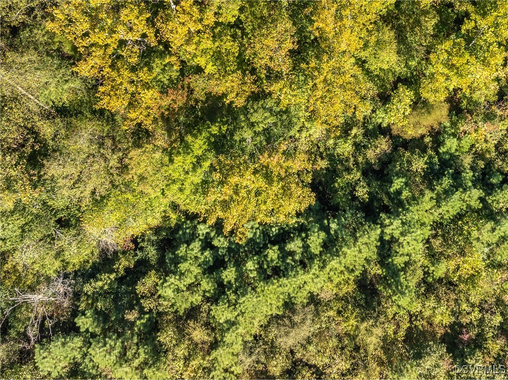 6779 South Hill Road Kenbridge, VA 23944 - Photo 46 of 50 Drone / aerial view