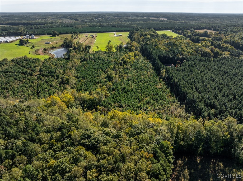 6779 South Hill Road Kenbridge, VA 23944 - Photo 50 of 50 Birds eye view of property with a water view