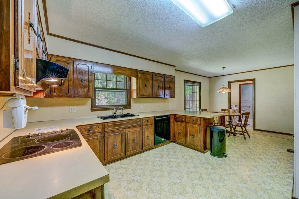 805 Ada Street Blue Ridge, GA 30513 - Photo 12 of 35