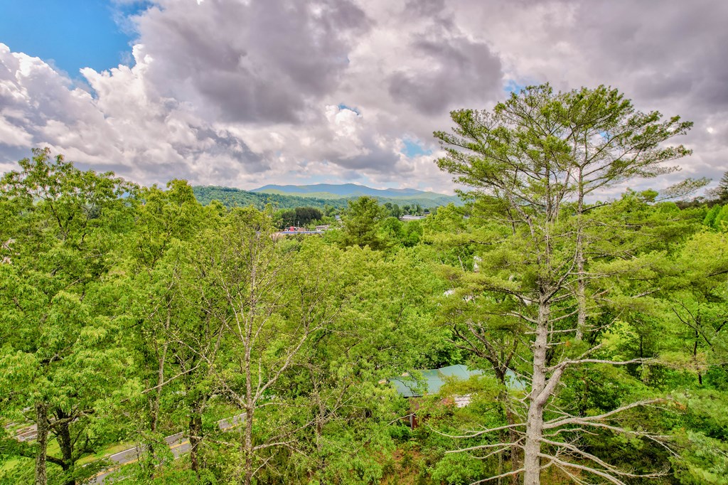 805 Ada Street Blue Ridge, GA 30513 - Photo 33 of 35