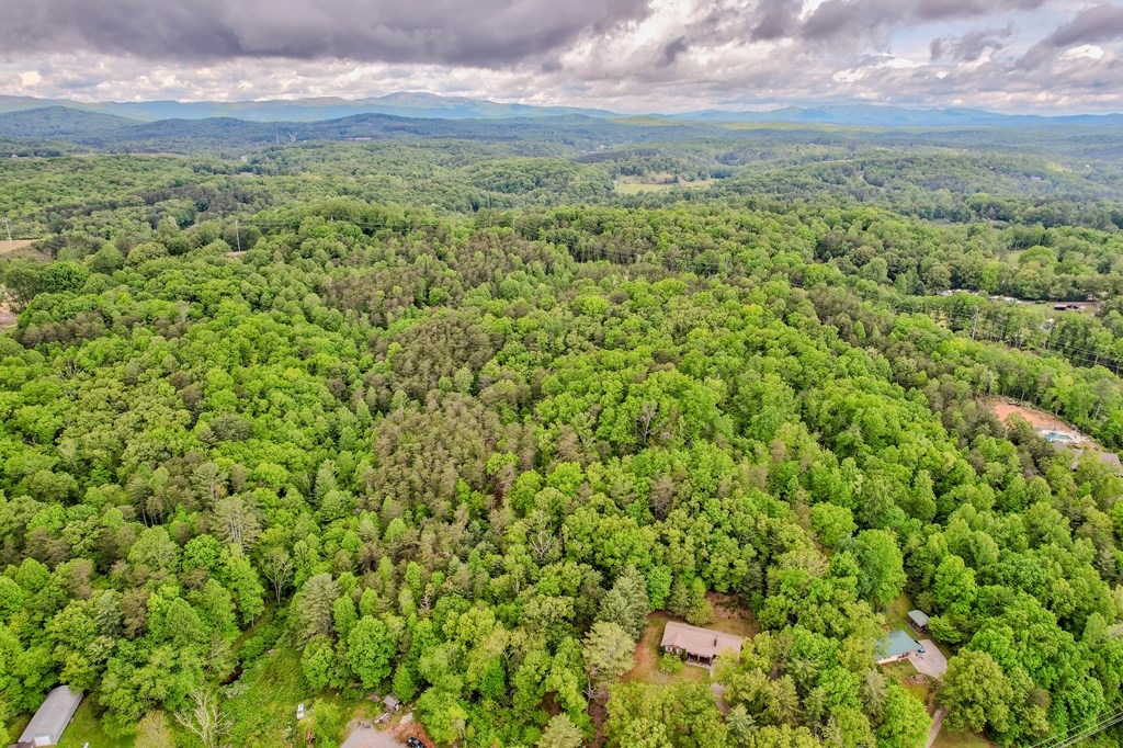 805 Ada Street Blue Ridge, GA 30513 - Photo 35 of 35