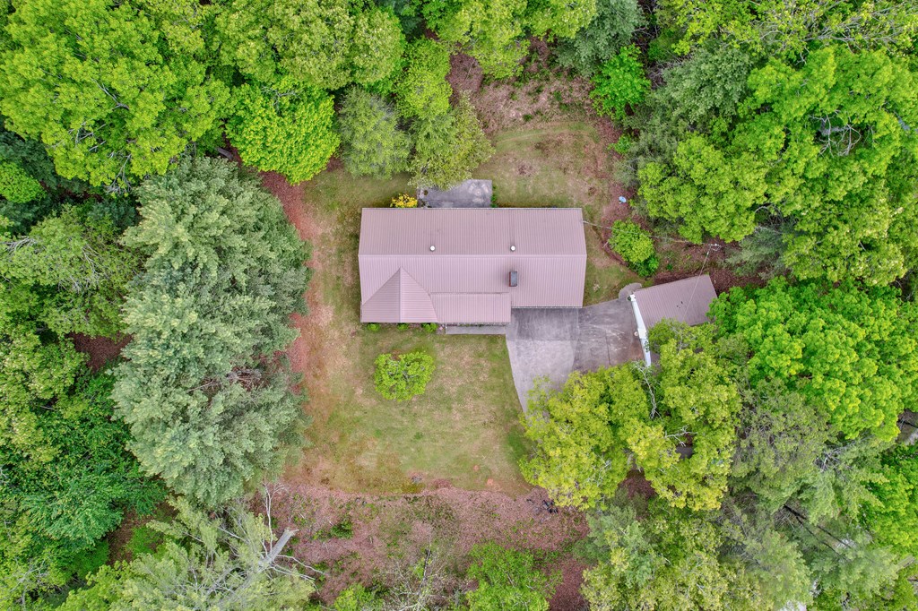 805 Ada Street Blue Ridge, GA 30513 - Photo 4 of 35