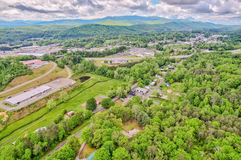 805 Ada Street Blue Ridge, GA 30513 - Photo 5 of 35