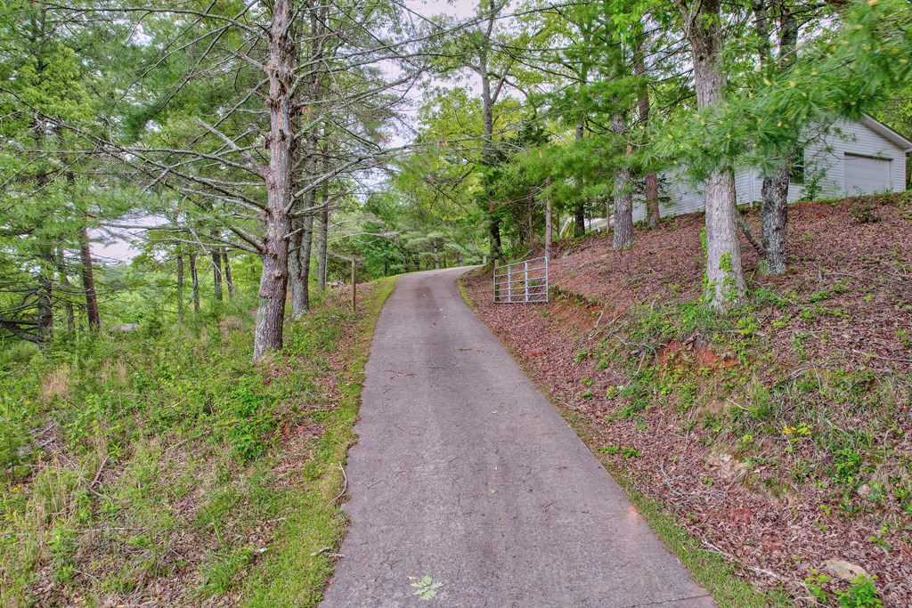 805 Ada Street Blue Ridge, GA 30513 - Photo 6 of 35