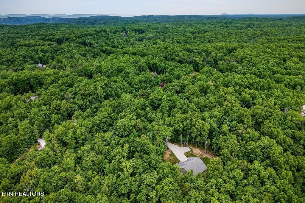 1507 East Overlook Road Monterey, TN 38574 - Photo 46 of 49 48