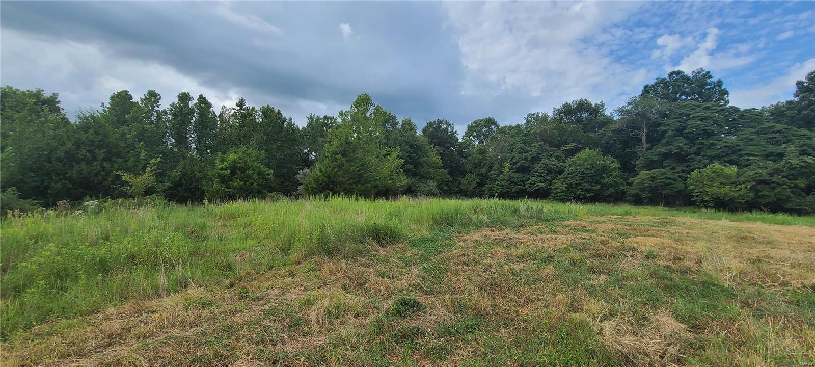 0 Shamrock Road Tamaroa, IL 62888 - Photo 1 of 13