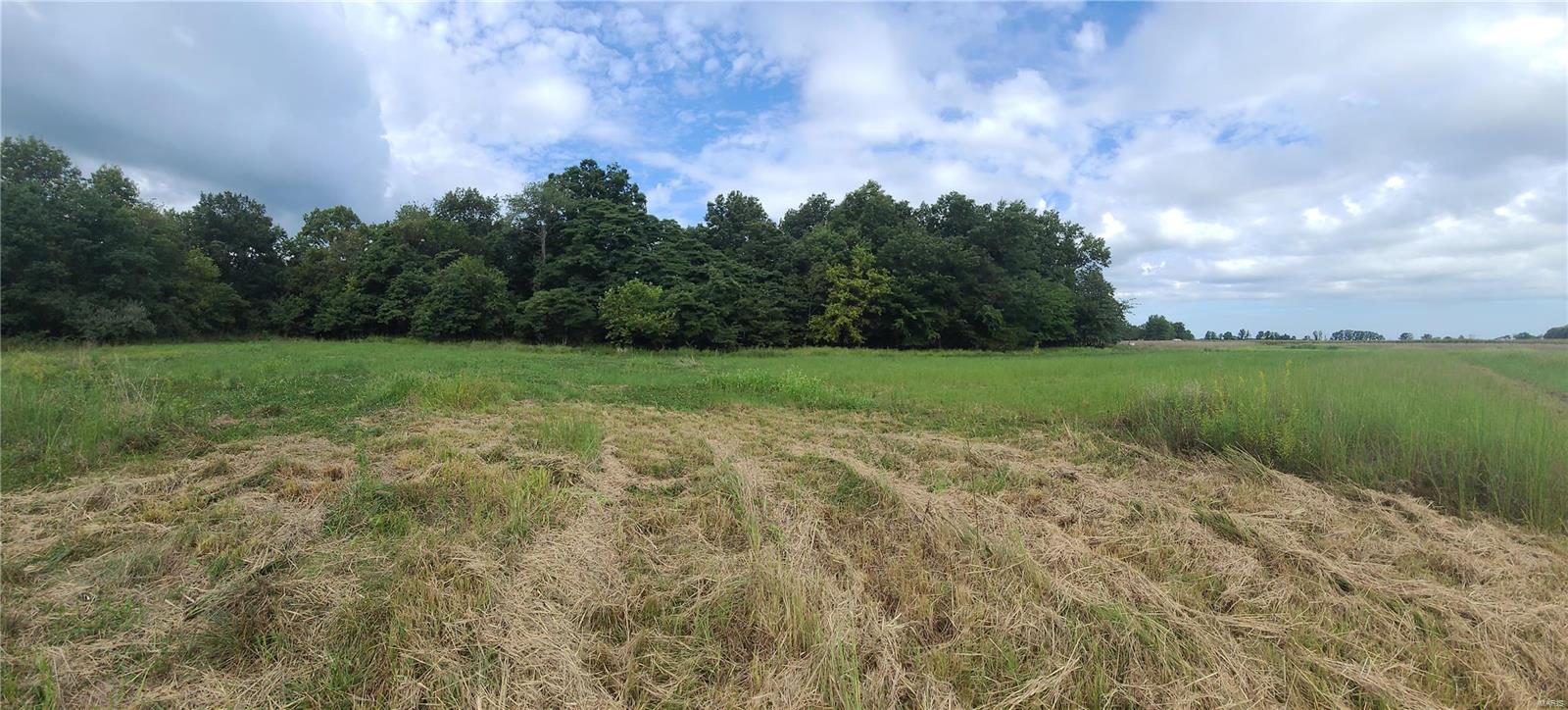 0 Shamrock Road Tamaroa, IL 62888 - Photo 2 of 13