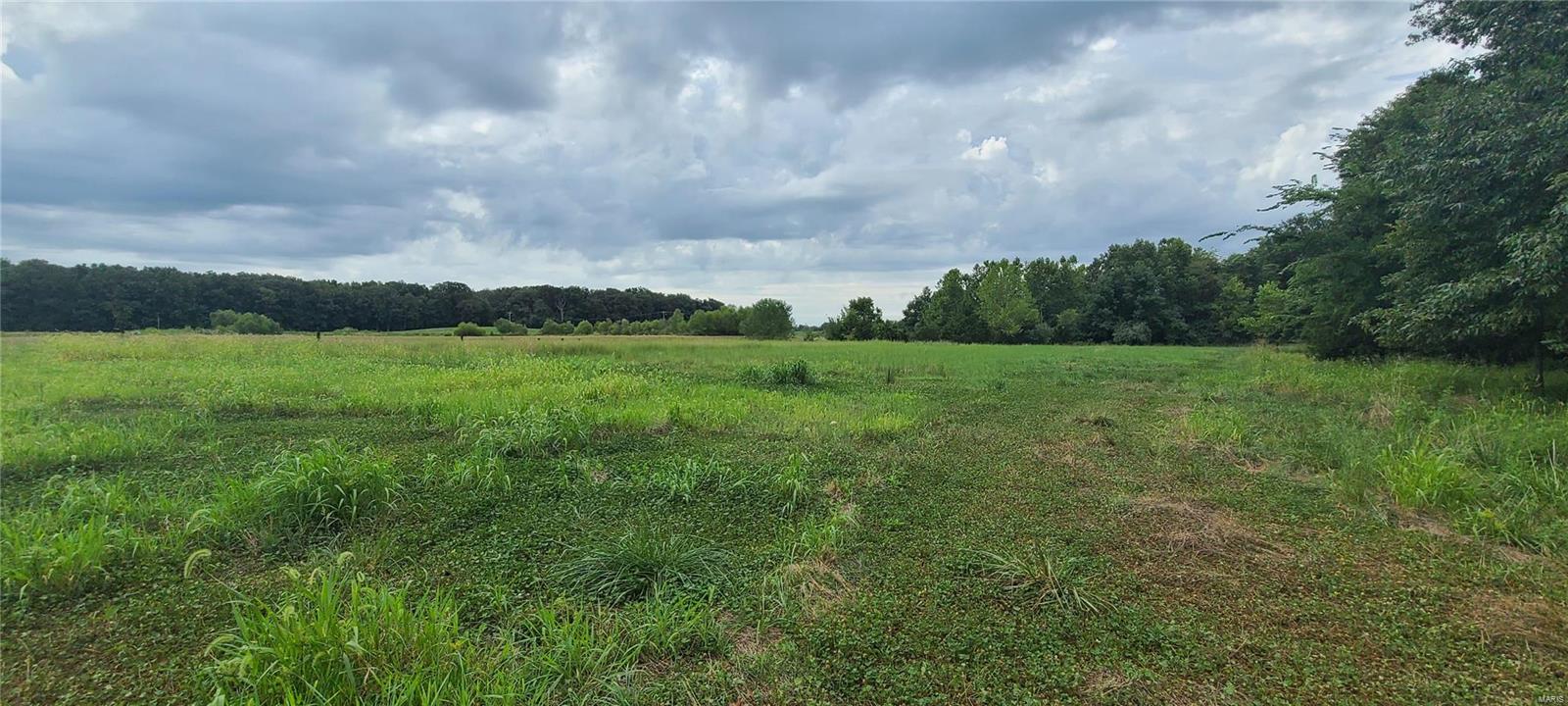 0 Shamrock Road Tamaroa, IL 62888 - Photo 3 of 13
