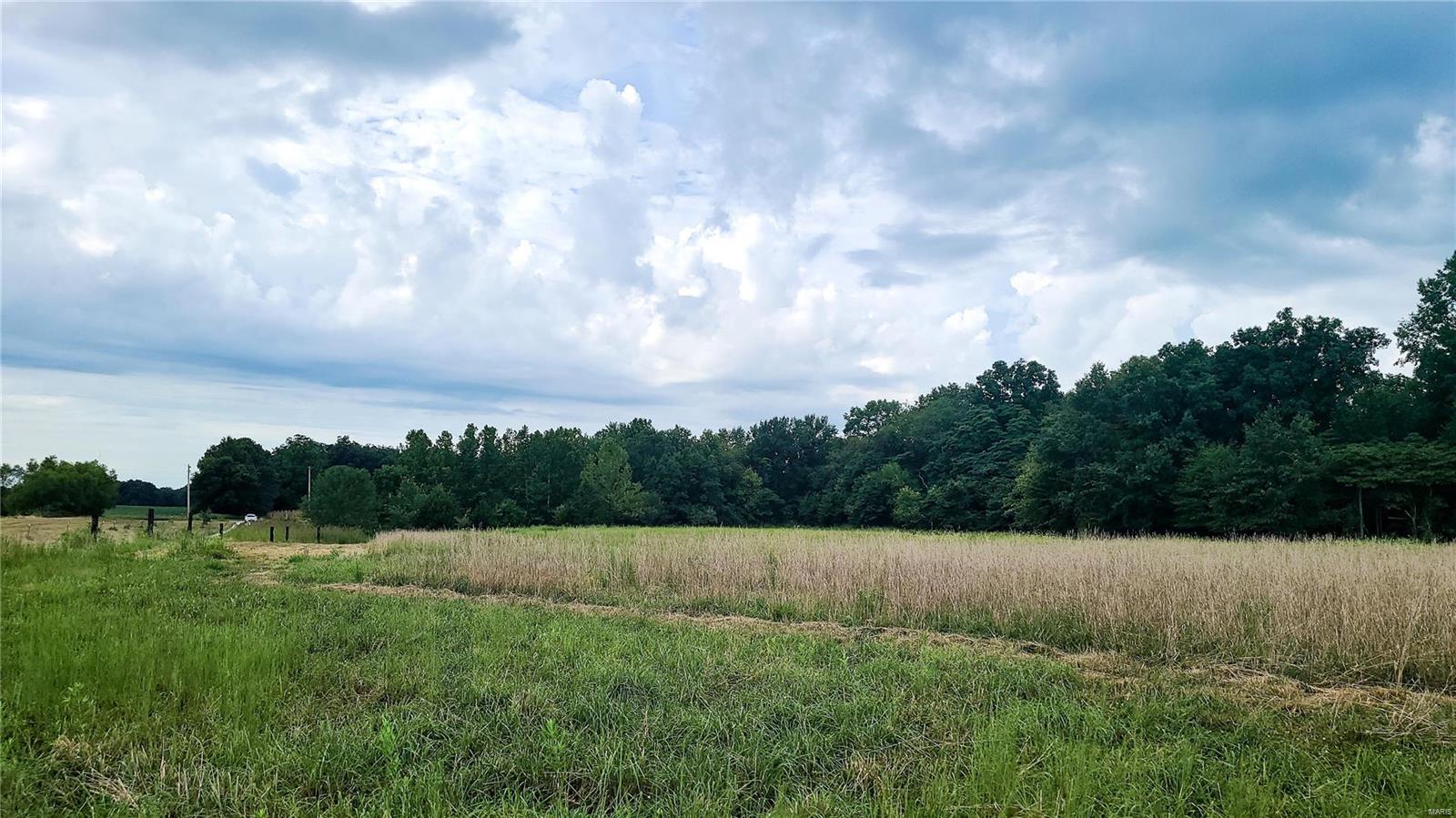 0 Shamrock Road Tamaroa, IL 62888 - Photo 4 of 13