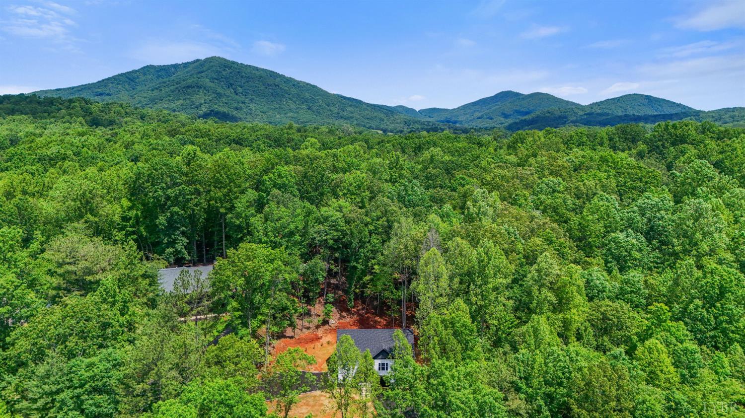 5610 Old Cifax Road Goode, VA 24556 - Photo 2 of 49 a view of a lush green hillside and a houses