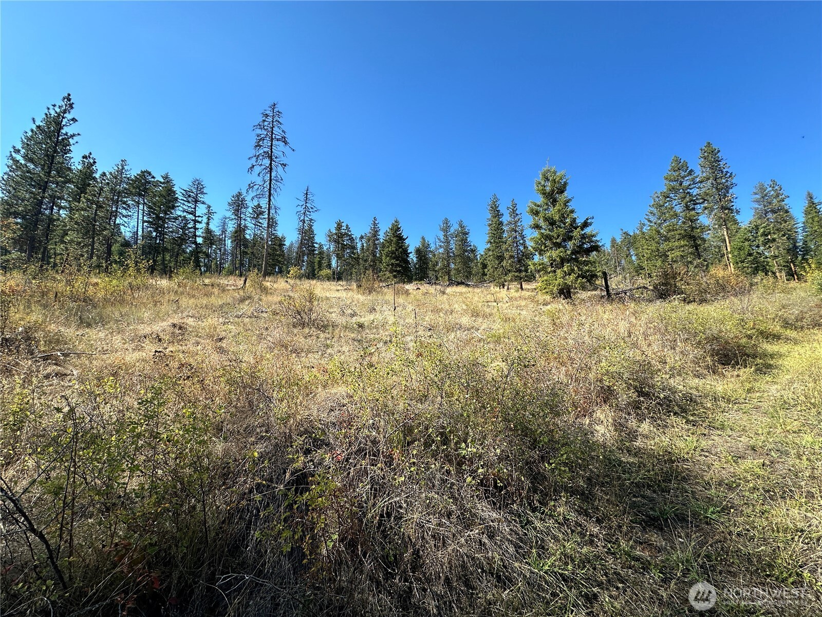 3 Deadman Creek Road Kettle Falls, WA 99141 - Photo 8 of 24 Gallery Image 8