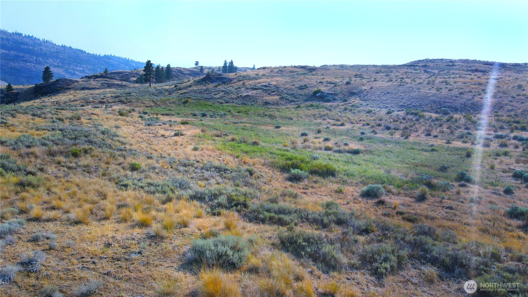 -xx McLaughlin Canyon Road Riverside, WA 98849 - Photo 9 of 21 Gallery Image 9