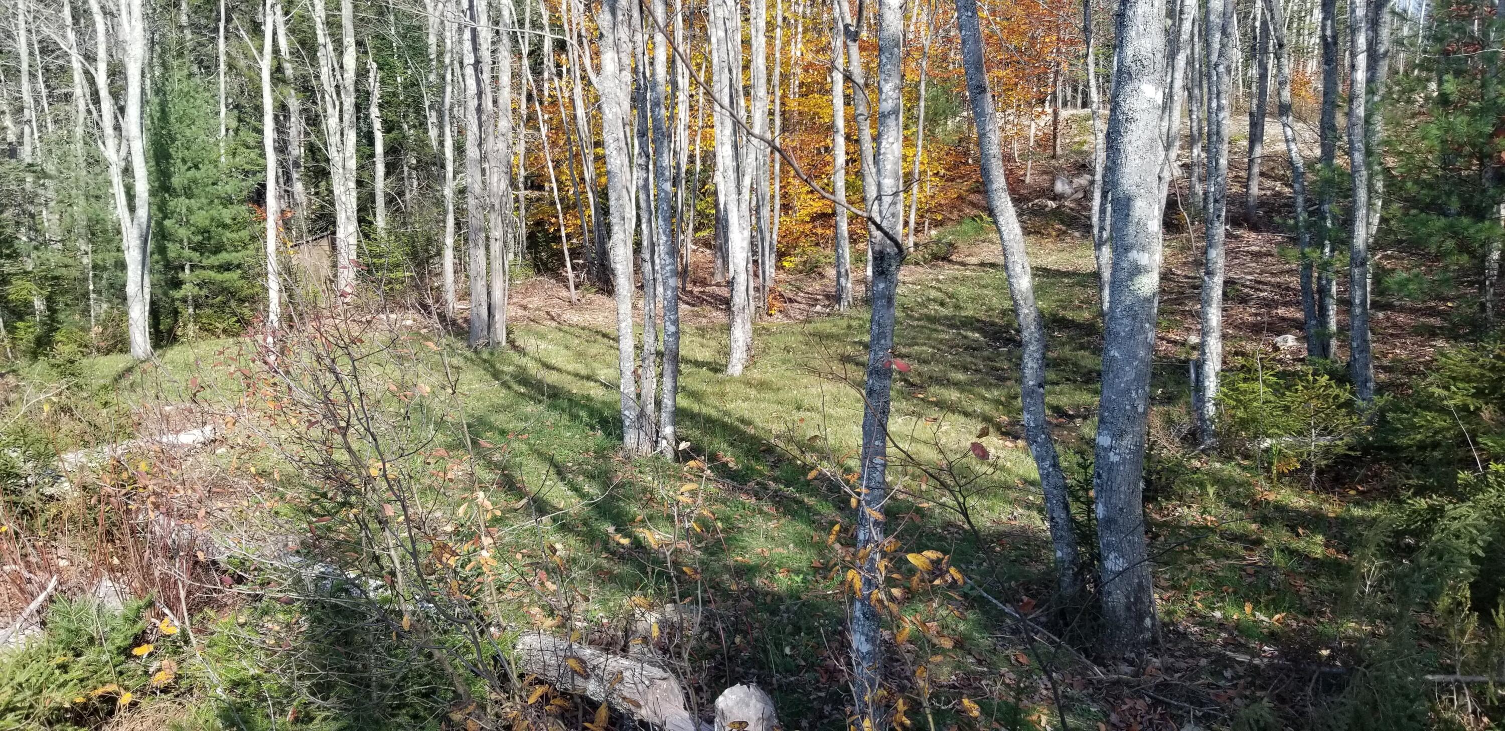 786 Pond Road Gouldsboro, ME 04607 - Photo 6 of 24 20211102_131532