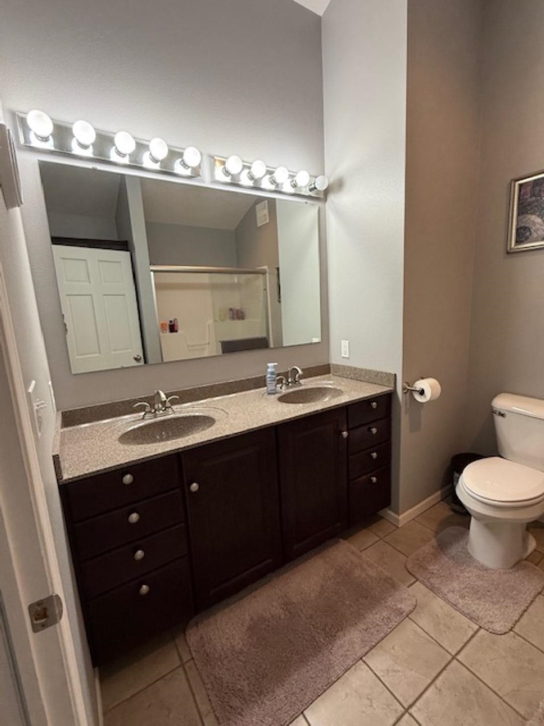 312 East Buckeye Road Dakota, IL 61018 - Photo 14 of 38 a spacious bathroom with a double vanity sink a toilet and a mirror