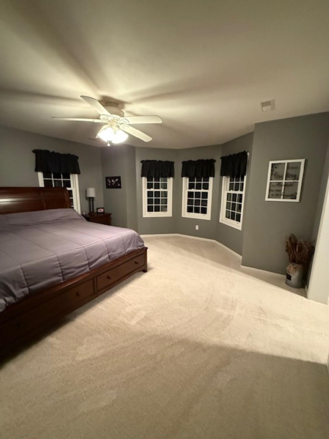 312 East Buckeye Road Dakota, IL 61018 - Photo 9 of 38