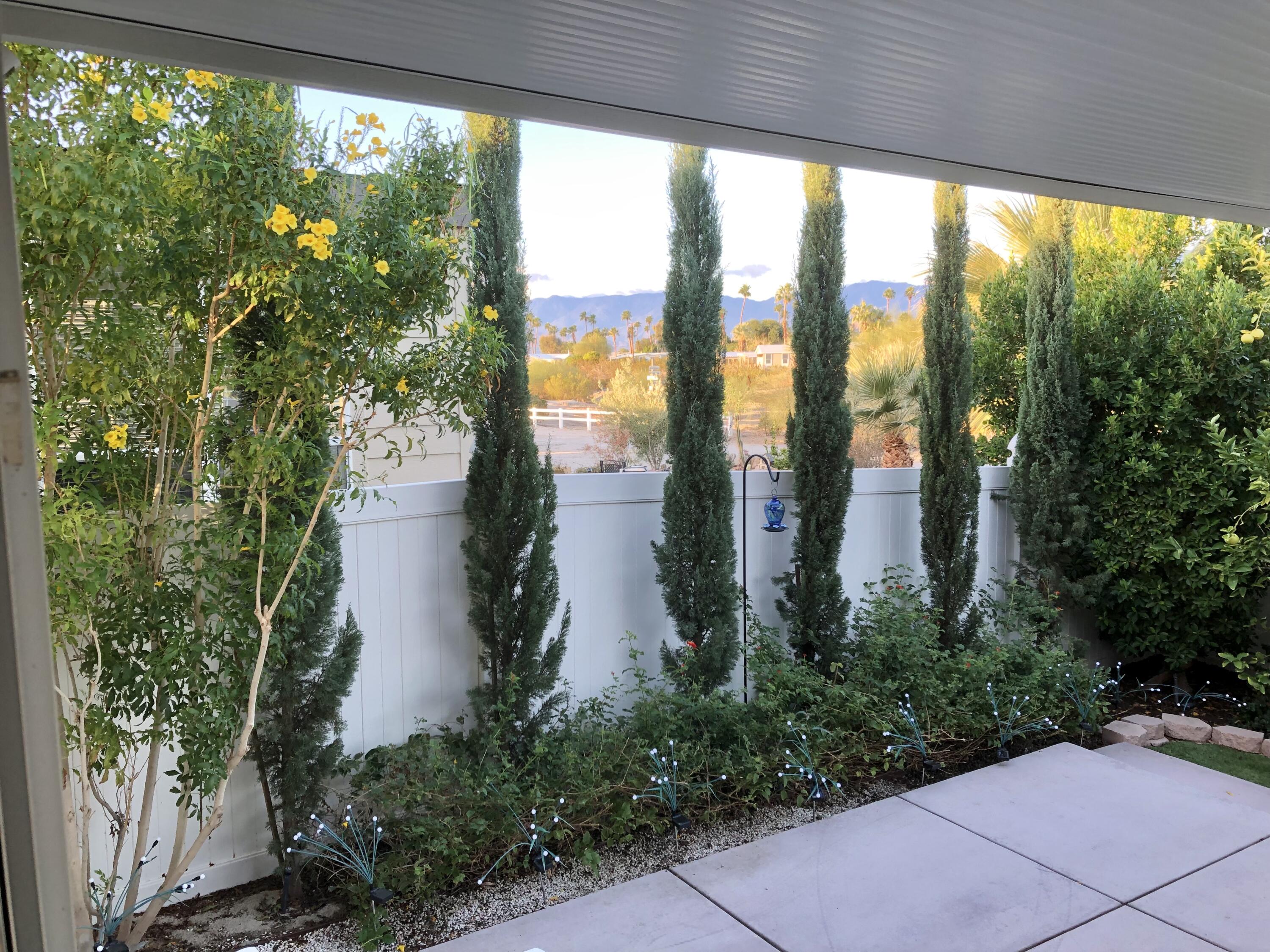 74711 Dillon Road Desert Hot Springs, CA 92241 - Photo 29 of 63 IMG_9463