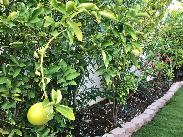 $139,000 | 74711 Dillon Road, Desert Hot Springs, CA 92241