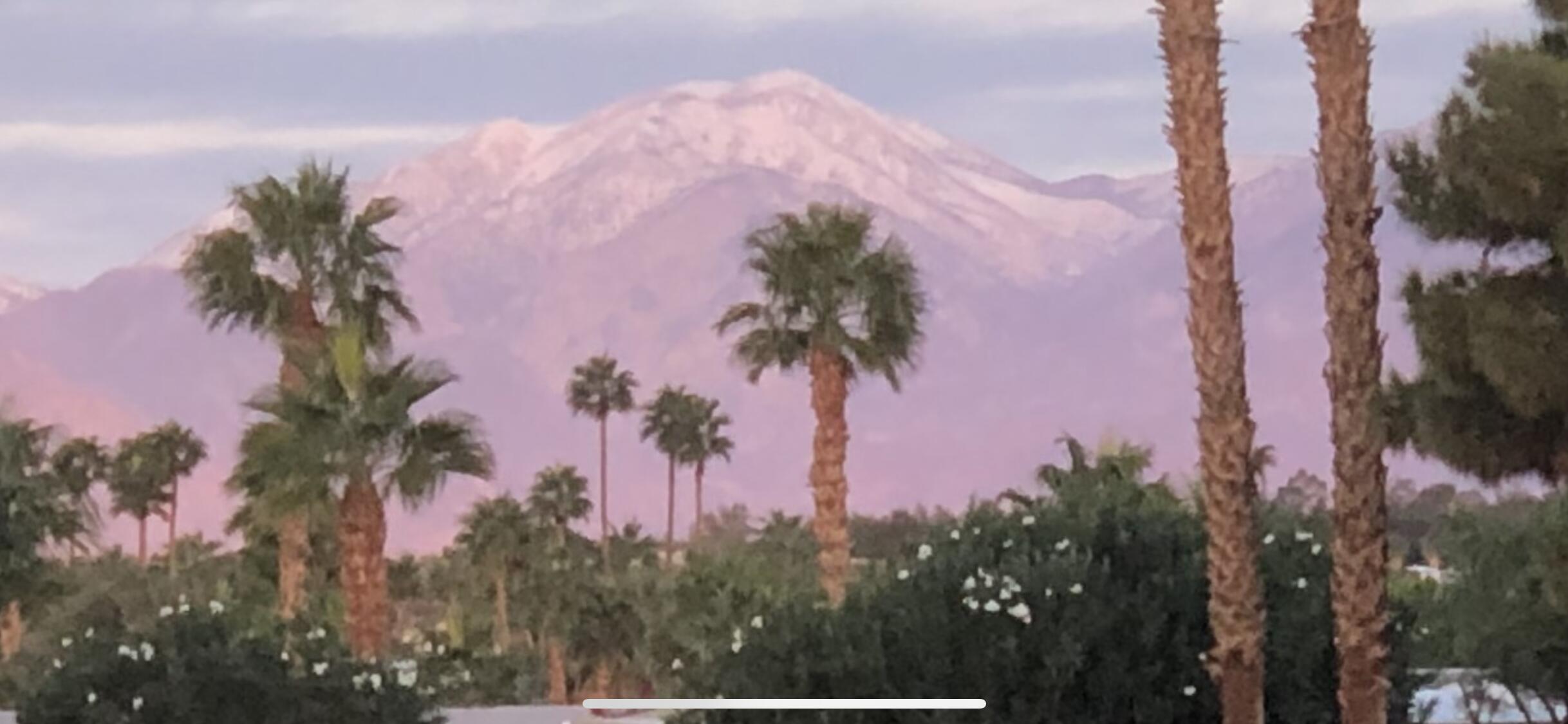 74711 Dillon Road Desert Hot Springs, CA 92241 - Photo 63 of 63 IMG_9451