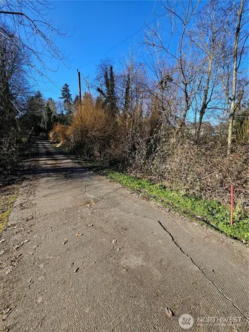 a view of a yard with trees in front of it