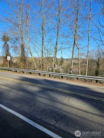 a view of a yard with plants and a bench