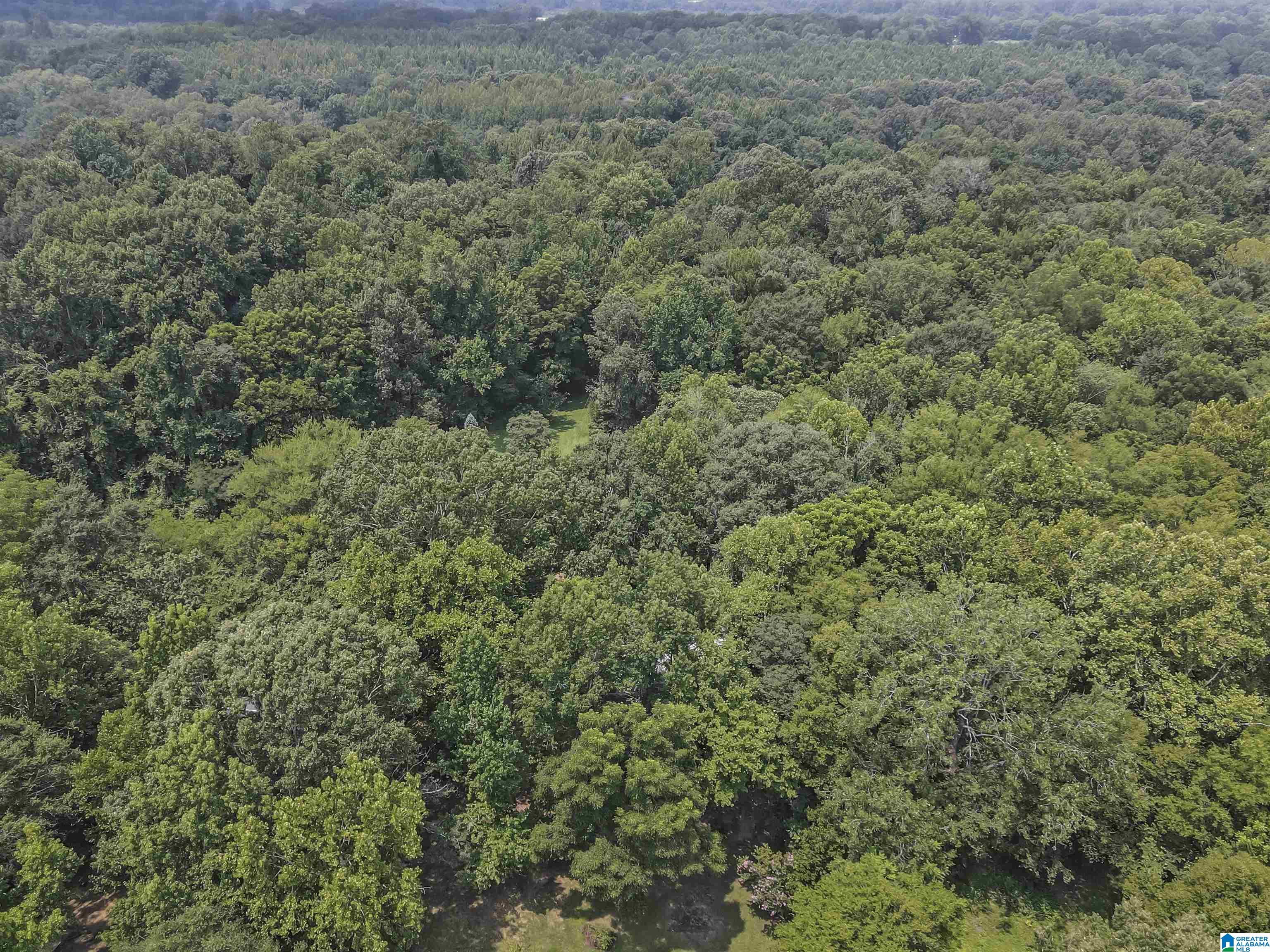 13615 Riverbend Road Moundville, AL 35474 - Photo 25 of 33