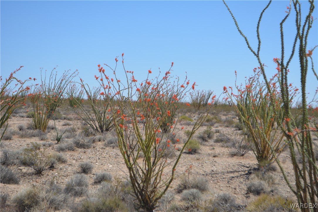 245-24-107 South Rainbow Road Yucca, AZ 86438 - Photo 88 of 91