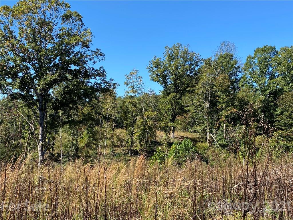 3775 Enola Road Morganton, NC 28655 - Photo 29 of 32 Gallery Image 29