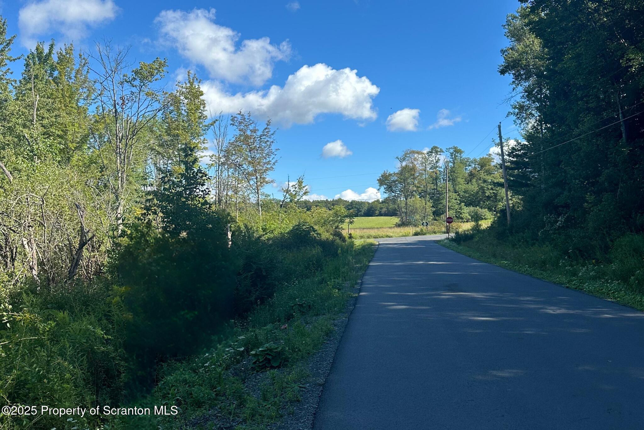 Sullivan Road Dalton, PA 18414 - Photo 2 of 3 a view of a yard with flower plants and wooden fence