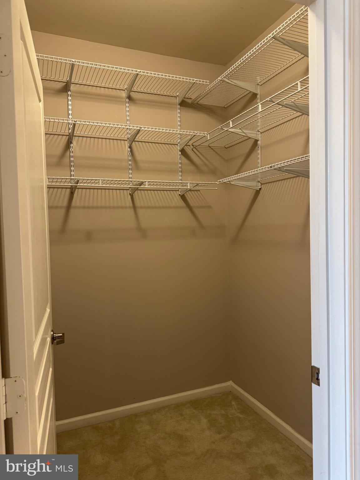 12000 Market Street, Unit 173 Reston, VA 20190 - Photo 16 of 47 Spacious closet ready for organization.